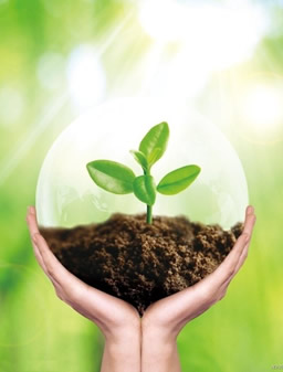 青岛沃鲸生物科技有限公司